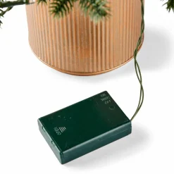 BERRY Branche De Baies Rouge