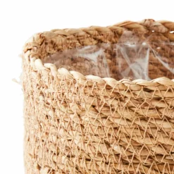 CEMENT Plante Artificielle Gris