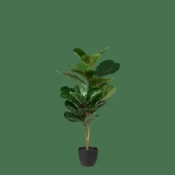 FIGI Plante Artificielle Noir, Vert Foncé
