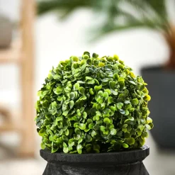 GREEN Boule Buis Vert