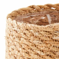 GREEN Boule Buis Vert