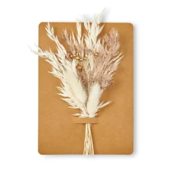 MIA Décoration Séchée Vert