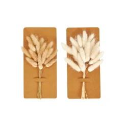 MINA Déco Séchée Blanc