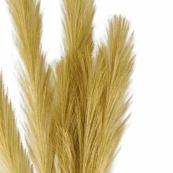 PLUME Plumes Décoratives Brun Clair