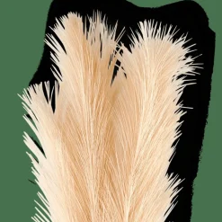 PLUME Plumes Décoratives Crème