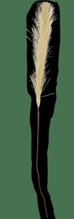 PLUME Plumes Décoratives Vert