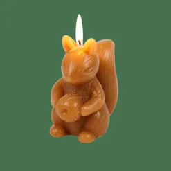 SQUIRREL Bougie écureuil Brun