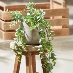 TRIFOLIUM Tige De Fleurs Jaune