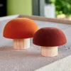 VELVET Champignon Naturel, Multicolore